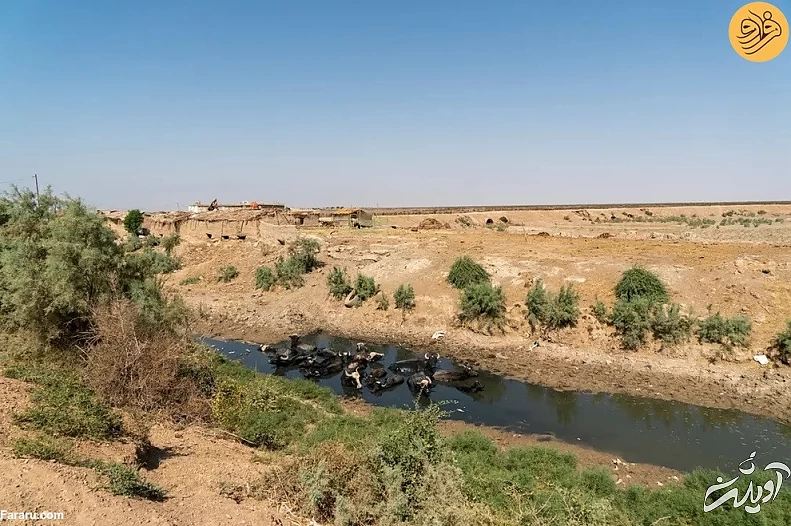 (تصاویر) اینجا قبلا مثل بهشت بود!